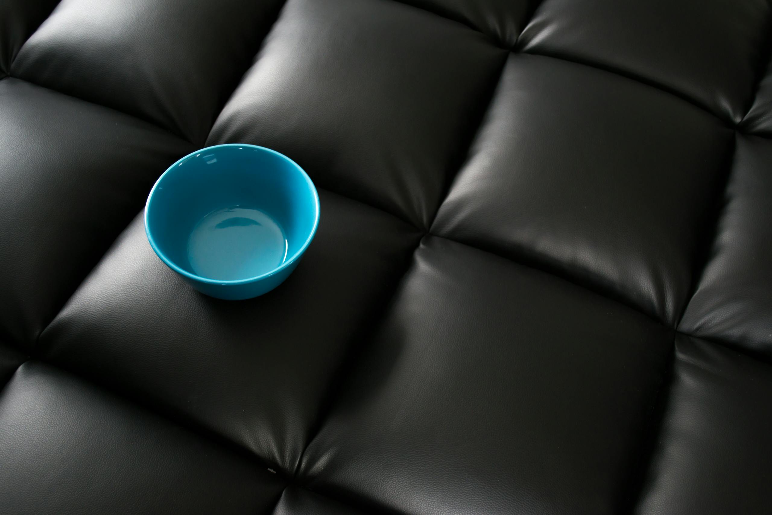 A blue bowl sits on a quilted black leather sofa.